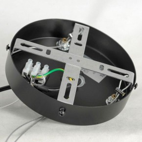 Подвесная люстра Lussole LSP-875 LSP-8750 в Нягани - nyagan.mebel24.online | фото 7