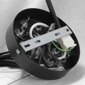Подвесная люстра Lussole Seneca GRLSP-8177 в Нягани - nyagan.mebel24.online | фото 10