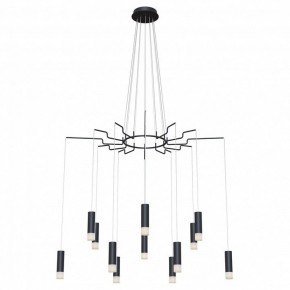 Подвесная люстра Maytoni Davida MOD035PL-12B в Нягани - nyagan.mebel24.online | фото 2