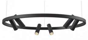 Подвесная люстра Maytoni Halo MOD102PL-L42BK в Нягани - nyagan.mebel24.online | фото
