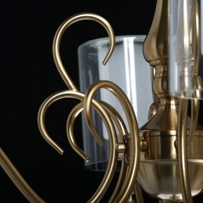 Подвесная люстра MW-Light Эллегия 8 303012708 в Нягани - nyagan.mebel24.online | фото 7