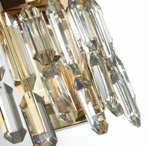 Подвесная люстра Odeon Light Dakisa 4986/12 в Нягани - nyagan.mebel24.online | фото 8