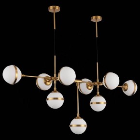 Подвесная люстра ST-Luce Arbe SL1157.303.09 в Нягани - nyagan.mebel24.online | фото 4