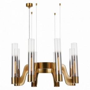Подвесная люстра ST-Luce Ettore SL1235.303.08 в Нягани - nyagan.mebel24.online | фото 3