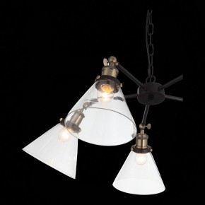 Подвесная люстра ST-Luce Evoluto SL237.413.05 в Нягани - nyagan.mebel24.online | фото 7