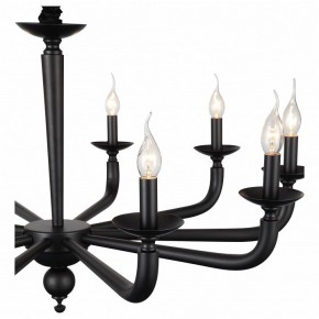 Подвесная люстра ST-Luce SL1114 SL1114.403.10 в Нягани - nyagan.mebel24.online | фото 4