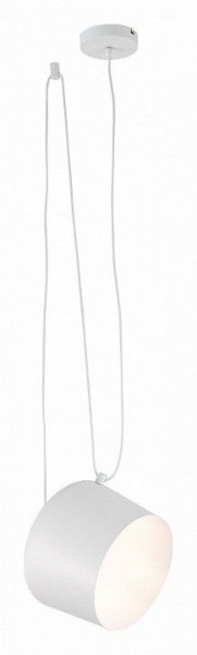 Подвесной светильник EVOLUCE Trieste SLE120653-01 в Нягани - nyagan.mebel24.online | фото 3