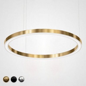 Подвесной светильник Imperiumloft Light Ring Horizontal 40.1454-120 в Нягани - nyagan.mebel24.online | фото