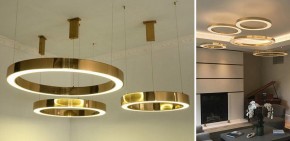 Подвесной светильник Imperiumloft Light Ring Horizontal 40.1454-80 в Нягани - nyagan.mebel24.online | фото 3