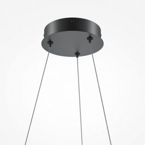 Подвесной светильник Maytoni Curve MOD241PL-L60BK в Нягани - nyagan.mebel24.online | фото 6
