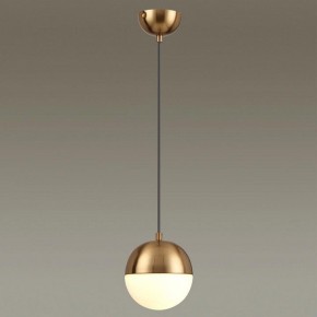 Подвесной светильник Odeon Light Pinga 4960/1 в Нягани - nyagan.mebel24.online | фото 2