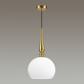 Подвесной светильник Odeon Light Runga 4766/1 в Нягани - nyagan.mebel24.online | фото 4