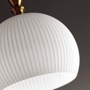 Подвесной светильник Odeon Light Runga 4766/1 в Нягани - nyagan.mebel24.online | фото 8