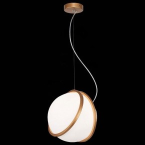 Подвесной светильник ST-Luce Acerra SL1181.353.01 в Нягани - nyagan.mebel24.online | фото 4