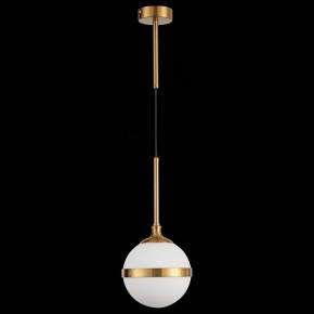 Подвесной светильник ST-Luce Arbe SL1157.303.01 в Нягани - nyagan.mebel24.online | фото 4