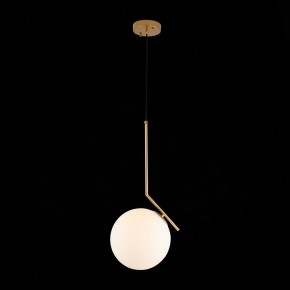 Подвесной светильник ST-Luce Codda SL1148.303.01 в Нягани - nyagan.mebel24.online | фото 5