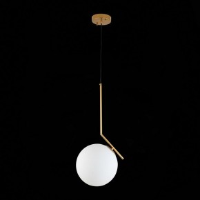Подвесной светильник ST-Luce Codda SL1148.303.01 в Нягани - nyagan.mebel24.online | фото 6