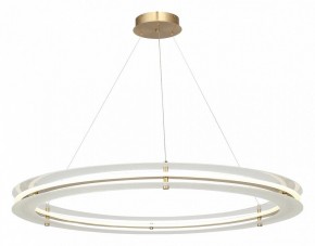 Подвесной светильник ST-Luce FAGY SL6245.213.01 в Нягани - nyagan.mebel24.online | фото 4