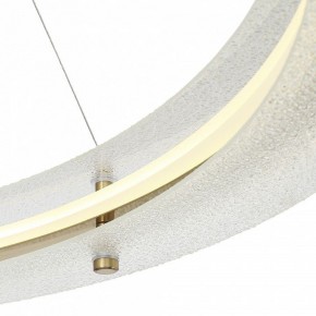 Подвесной светильник ST-Luce FAGY SL6245.213.01 в Нягани - nyagan.mebel24.online | фото 6