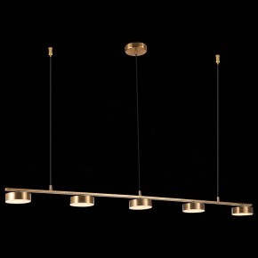 Подвесной светильник ST-Luce Pances SL6000.303.05 в Нягани - nyagan.mebel24.online | фото 5