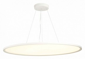 Подвесной светильник ST-Luce ST602 ST602.543.120 в Нягани - nyagan.mebel24.online | фото 3