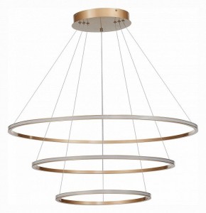 Подвесной светильник ST-Luce ST604 OUT ST604.243.114 в Нягани - nyagan.mebel24.online | фото 2