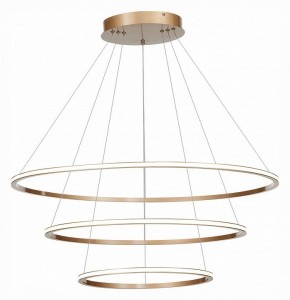 Подвесной светильник ST-Luce ST604 OUT ST604.243.114 в Нягани - nyagan.mebel24.online | фото 3