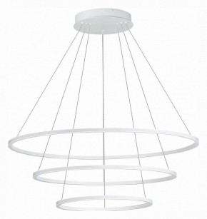 Подвесной светильник ST-Luce ST604 OUT ST604.543.114 в Нягани - nyagan.mebel24.online | фото 2