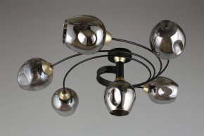 Потолочная люстра Aployt Flor APL.611.17.06 в Нягани - nyagan.mebel24.online | фото 1