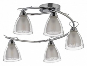 Потолочная люстра Arti Lampadari Paola, Tavenna Nickel Paola E 1.1.5 N в Нягани - nyagan.mebel24.online | фото