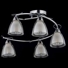 Потолочная люстра Arti Lampadari Paola, Tavenna Nickel Paola E 1.1.5 N в Нягани - nyagan.mebel24.online | фото 2