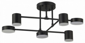 Потолочная люстра EVOLUCE Nobel SLE201042-06 в Нягани - nyagan.mebel24.online | фото 11