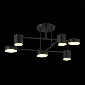 Потолочная люстра EVOLUCE Nobel SLE201042-06 в Нягани - nyagan.mebel24.online | фото 13