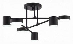 Потолочная люстра EVOLUCE Nobel SLE201042-06 в Нягани - nyagan.mebel24.online | фото 5