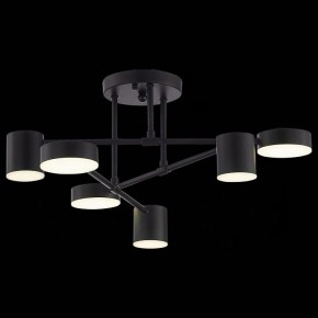 Потолочная люстра EVOLUCE Nobel SLE201042-06 в Нягани - nyagan.mebel24.online | фото 6
