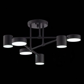 Потолочная люстра EVOLUCE Nobel SLE201042-06 в Нягани - nyagan.mebel24.online | фото 9