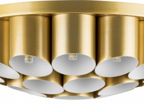 Потолочная люстра Lightstar Siena 720222 в Нягани - nyagan.mebel24.online | фото 3