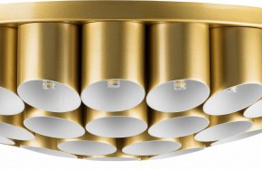Потолочная люстра Lightstar Siena 720402 в Нягани - nyagan.mebel24.online | фото 3