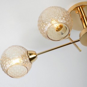 Потолочная люстра Rivoli Amalia Б0050815 в Нягани - nyagan.mebel24.online | фото 8