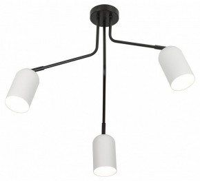 Потолочная люстра Rivoli Rosalinda Б0064987 в Нягани - nyagan.mebel24.online | фото 4