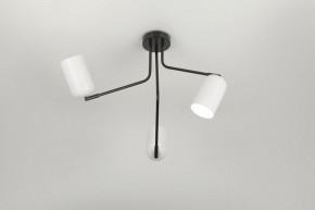 Потолочная люстра Rivoli Rosalinda Б0064987 в Нягани - nyagan.mebel24.online | фото 7