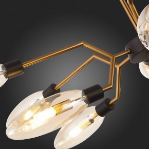 Потолочная люстра ST-Luce Desima SL1174.303.12 в Нягани - nyagan.mebel24.online | фото 10