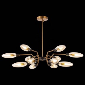 Потолочная люстра ST-Luce Desima SL1174.303.12 в Нягани - nyagan.mebel24.online | фото 2