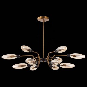 Потолочная люстра ST-Luce Desima SL1174.303.12 в Нягани - nyagan.mebel24.online | фото 4