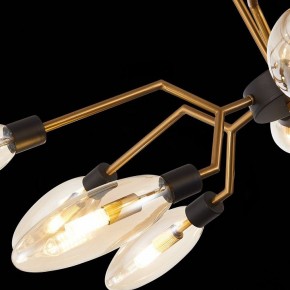 Потолочная люстра ST-Luce Desima SL1174.303.12 в Нягани - nyagan.mebel24.online | фото 9