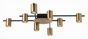 Потолочная люстра ST-Luce Veroli SL1207.402.08 в Нягани - nyagan.mebel24.online | фото 2