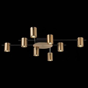 Потолочная люстра ST-Luce Veroli SL1207.402.08 в Нягани - nyagan.mebel24.online | фото 4