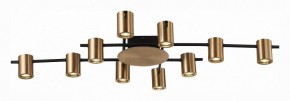 Потолочная люстра ST-Luce Veroli SL1207.402.10 в Нягани - nyagan.mebel24.online | фото 2