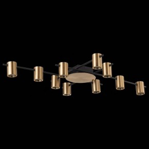Потолочная люстра ST-Luce Veroli SL1207.402.10 в Нягани - nyagan.mebel24.online | фото 3