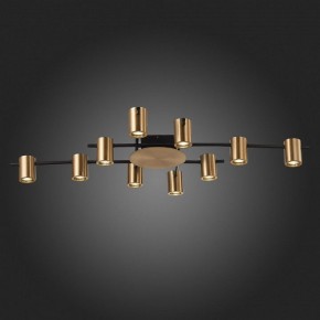 Потолочная люстра ST-Luce Veroli SL1207.402.10 в Нягани - nyagan.mebel24.online | фото 6